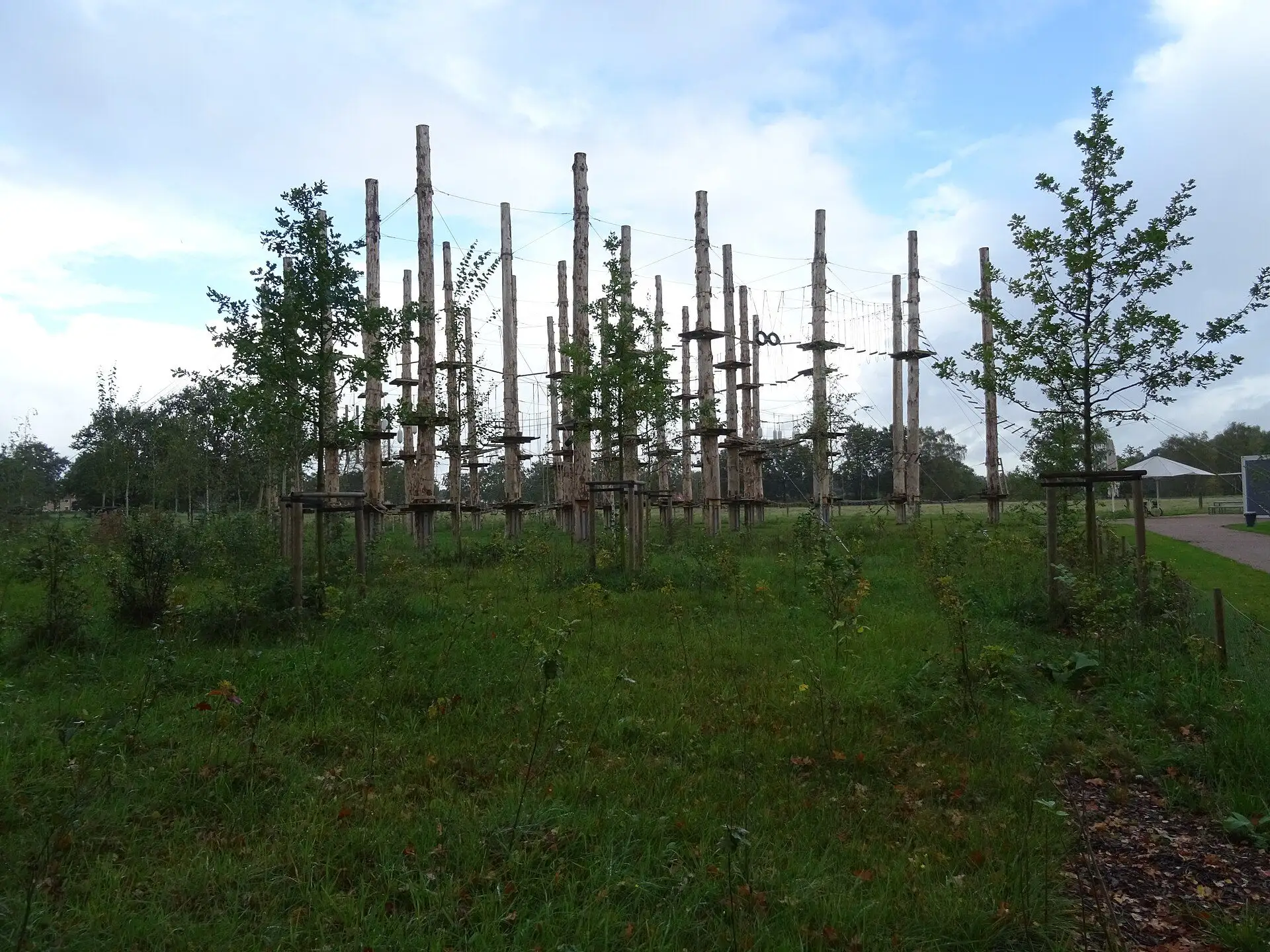 Парк на опорах в городском парке